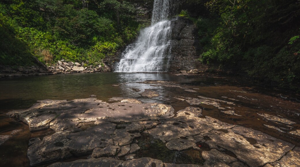The Cascade waterfall on a nice summer day in Pembroke VA. #Adventure
#waterfall #virginia #landscape #photography #appalachian