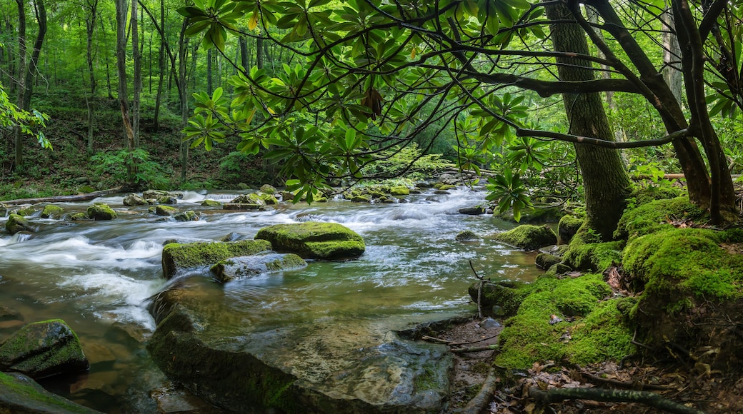 ํธ๋ธ๋ฃฉ