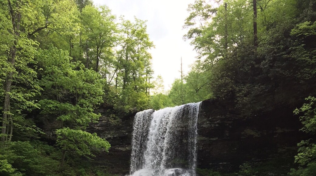 Went on a 4 mile hike and this was at the halfway point.