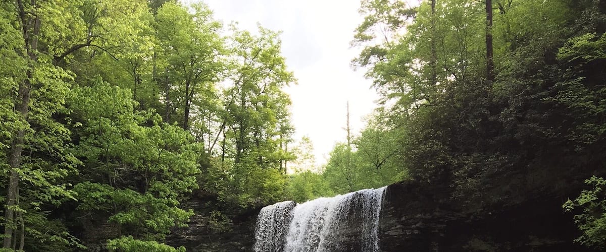 Went on a 4 mile hike and this was at the halfway point.