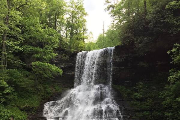 Went on a 4 mile hike and this was at the halfway point.