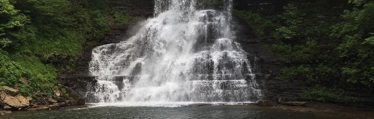 Went on a 4 mile hike and this was at the halfway point.