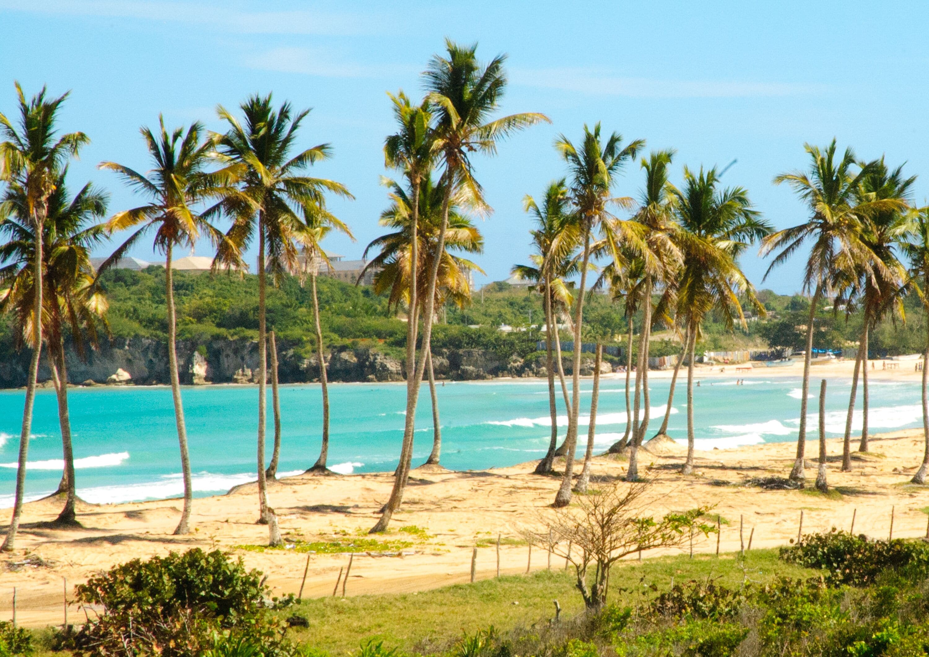 El Macao beach, palm forest and ocean cliffs