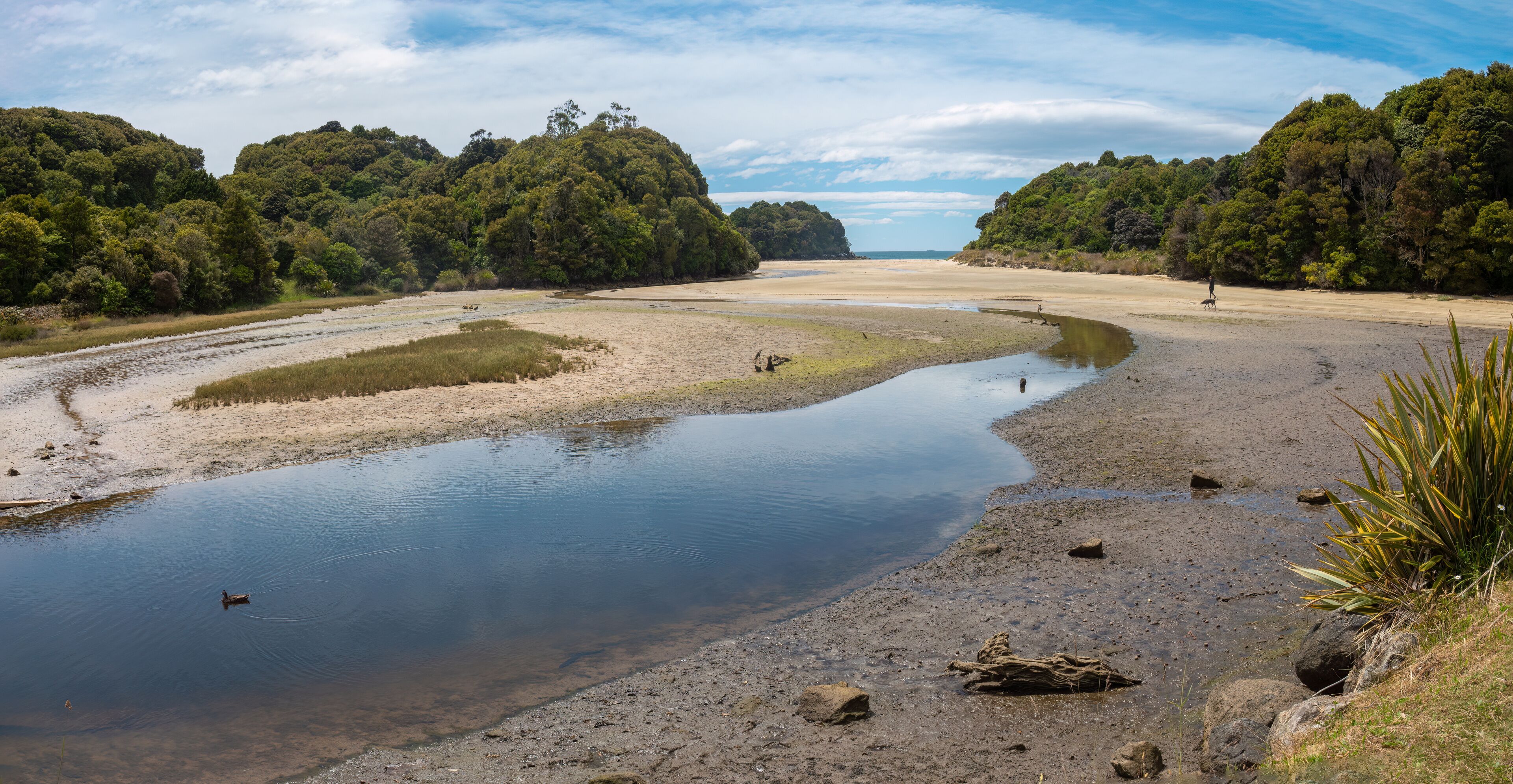 Rakiura National Park on Stewart Island, New Zealand's third-largest island. Because there are few introduced predators, flightless endangered birds such as the kiwi and little penguin thrive.