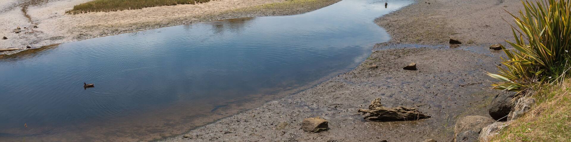 Rakiura National Park on Stewart Island, New Zealand's third-largest island. Because there are few introduced predators, flightless endangered birds such as the kiwi and little penguin thrive.