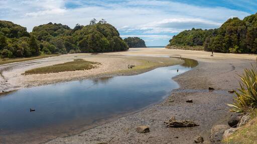 Rakiura National Park on Stewart Island, New Zealand's third-largest island. Because there are few introduced predators, flightless endangered birds such as the kiwi and little penguin thrive.