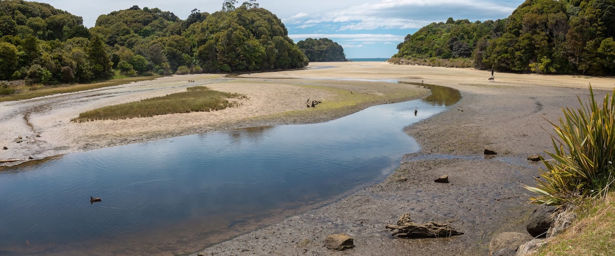 A river meandering through a forested landscape with a sandy beach and rocky outcrops.
