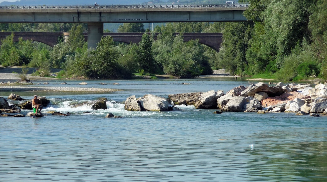 Riva del fiume Magra