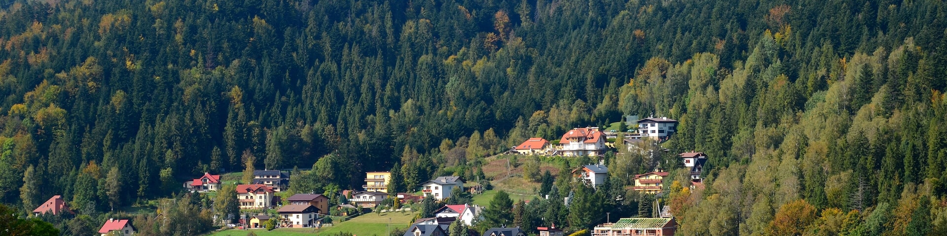 A hillside village with houses nestled among dense forests.