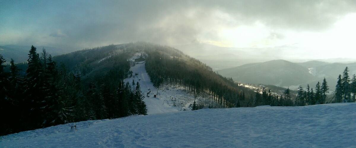 Ein mit Schnee bedeckter Berg mit einer Skipiste und dichtem Wald.