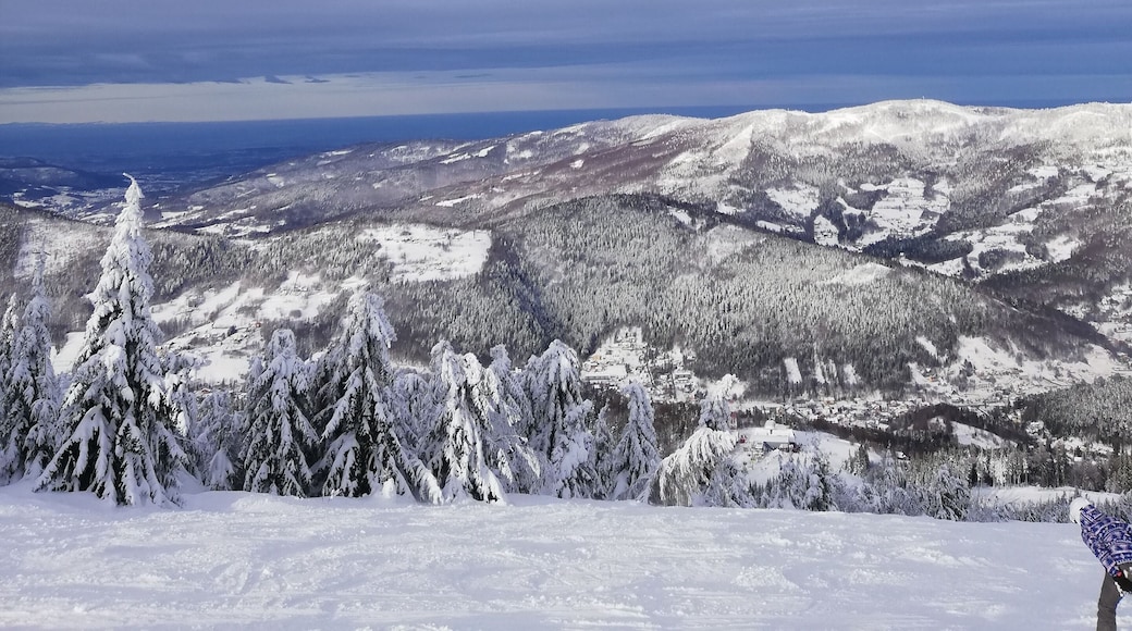 Photo from ski run in Szczyrk, Poland