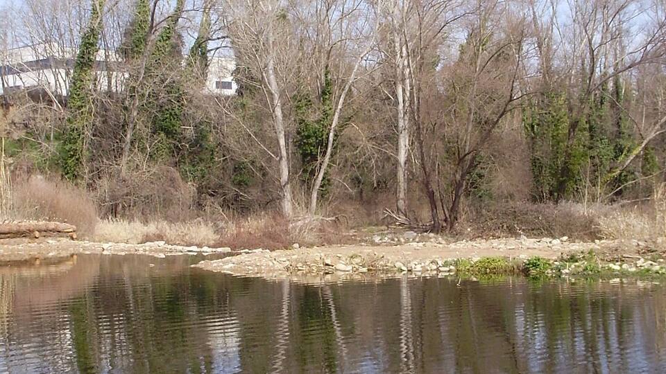 A calm river with reflections of leafless trees and a clear sky.