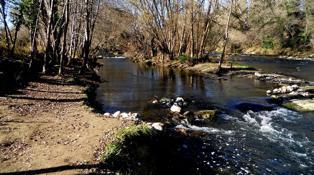 El Ter, el seu pas per terres saltenques (voltant Pla dels Solcs-Carril bici Girona-Olot)