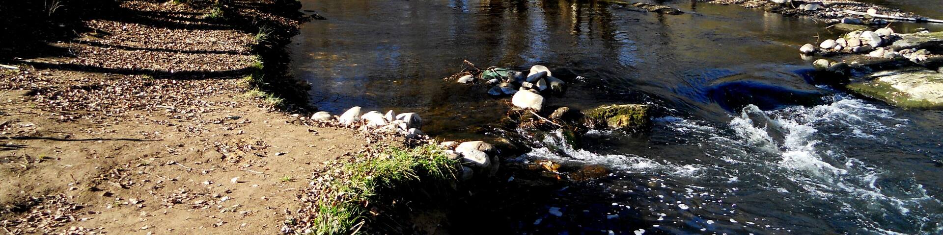 El Ter, el seu pas per terres saltenques (voltant Pla dels Solcs-Carril bici Girona-Olot)