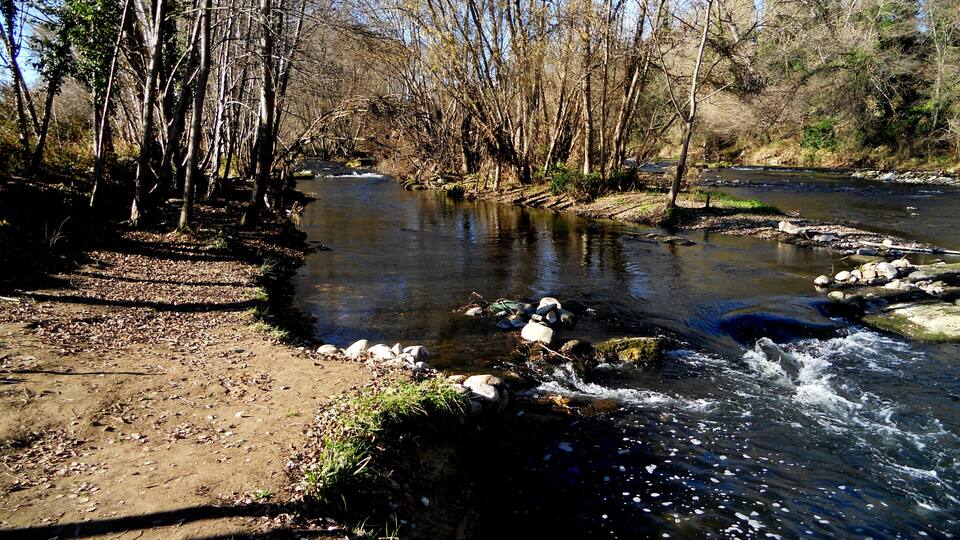 A river flowing through a forested area with a dirt path alongside.