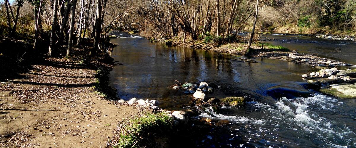 A river flowing through a forested area with a dirt path alongside.