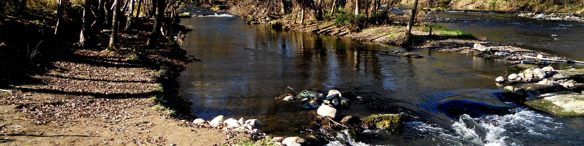 A river flowing through a forested area with a dirt path alongside.