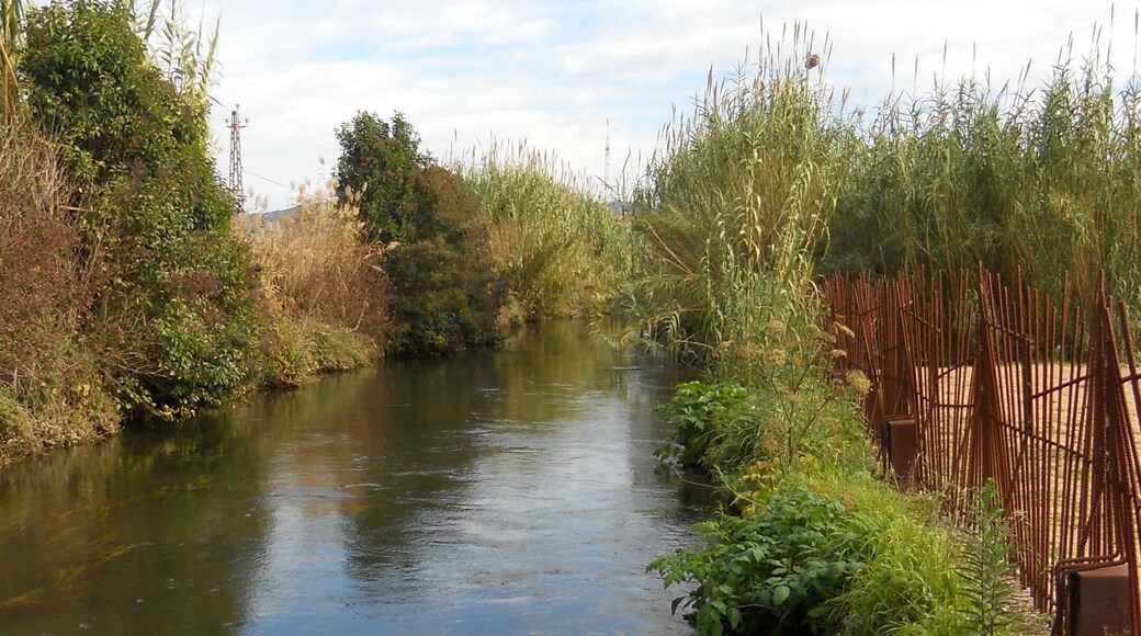 Parc de la Sèquia Monar (Salt)
