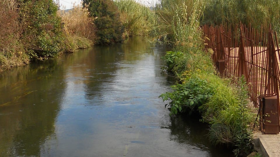 A calm river with dense vegetation on both sides and a metal fence on the right.
