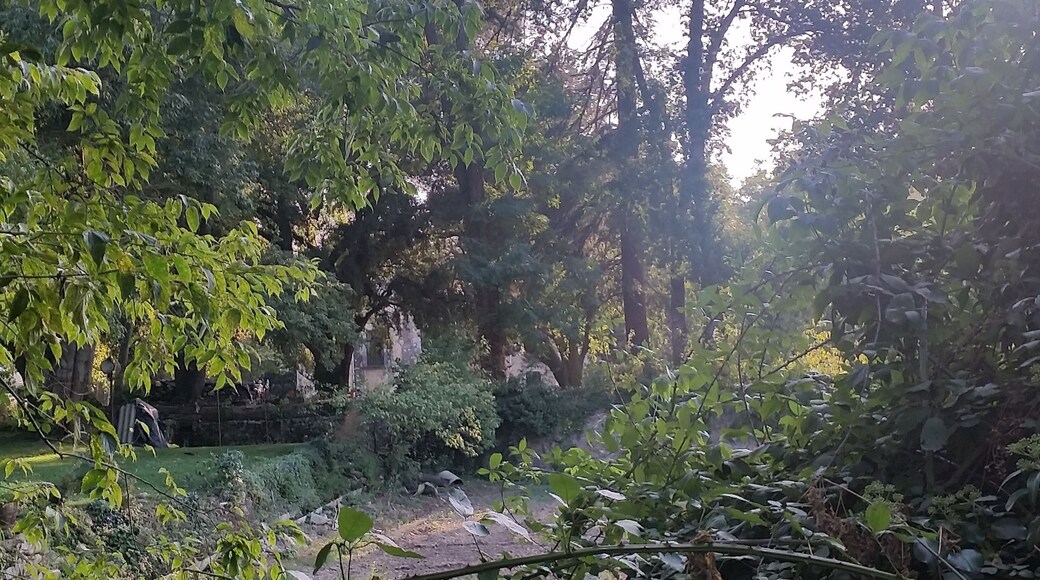 Casa del Marquès de Camps (Salt)