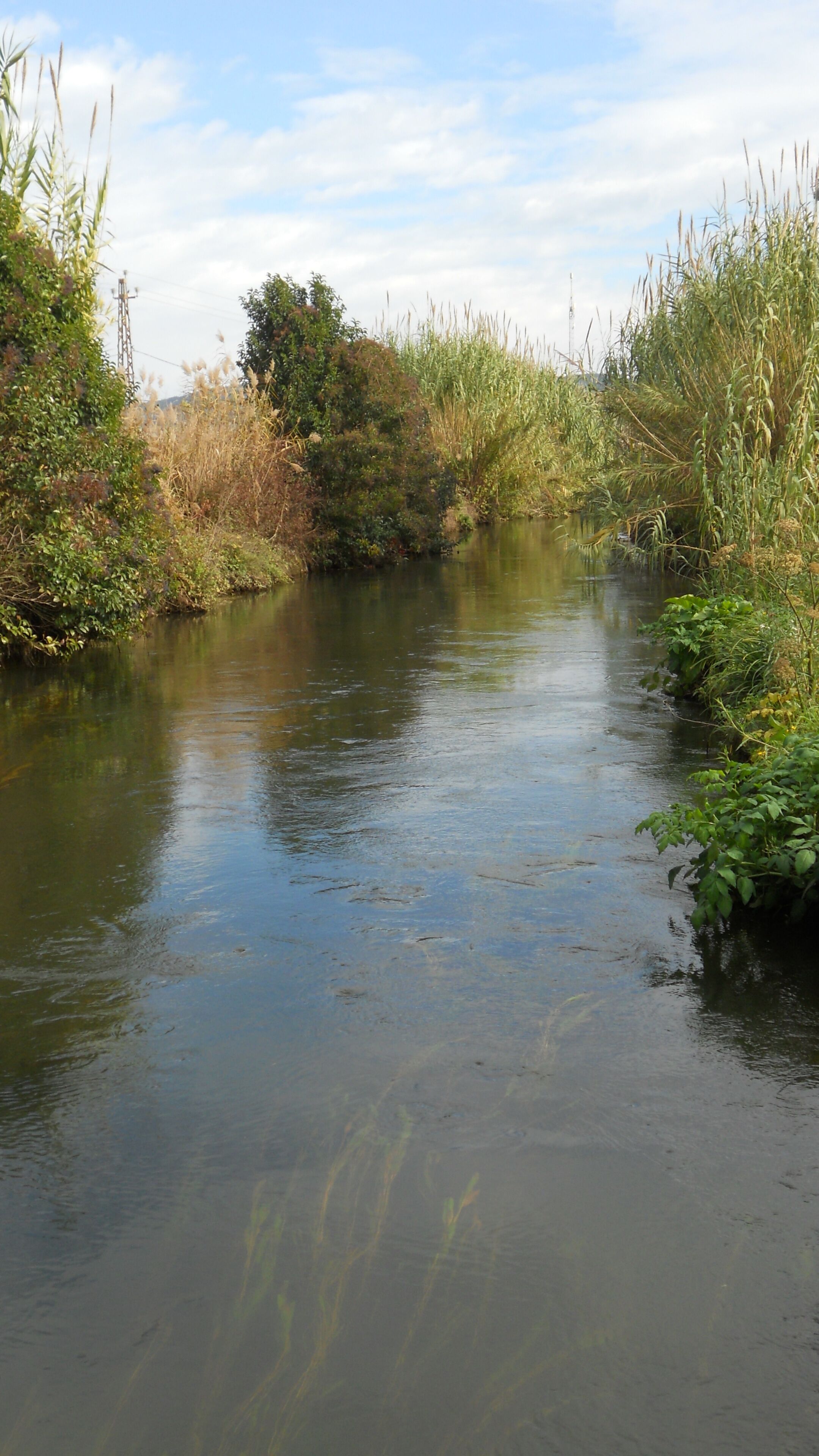 Rec Monar (Parc de la Sèquia Monar) Salt