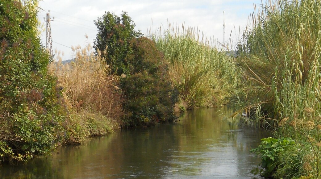 Rec Monar (Parc de la Sèquia Monar) Salt