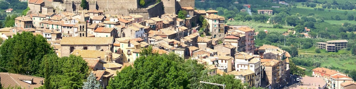 Un château médiéval perché au sommet d’une colline, surplombant une ville historique aux bâtiments aux toits de tuiles rouges.