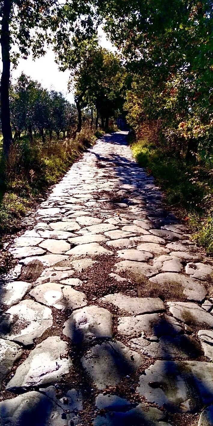 Walking a road built by Roman soldiers over 2000 years ago and it’s still used today. Such a vibrant day to take a hike!
#History Photo Contest