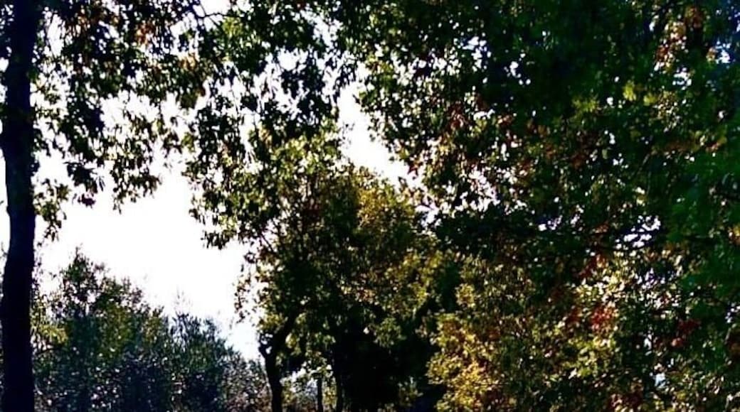 Walking a road built by Roman soldiers over 2000 years ago and it’s still used today. Such a vibrant day to take a hike!
#History Photo Contest