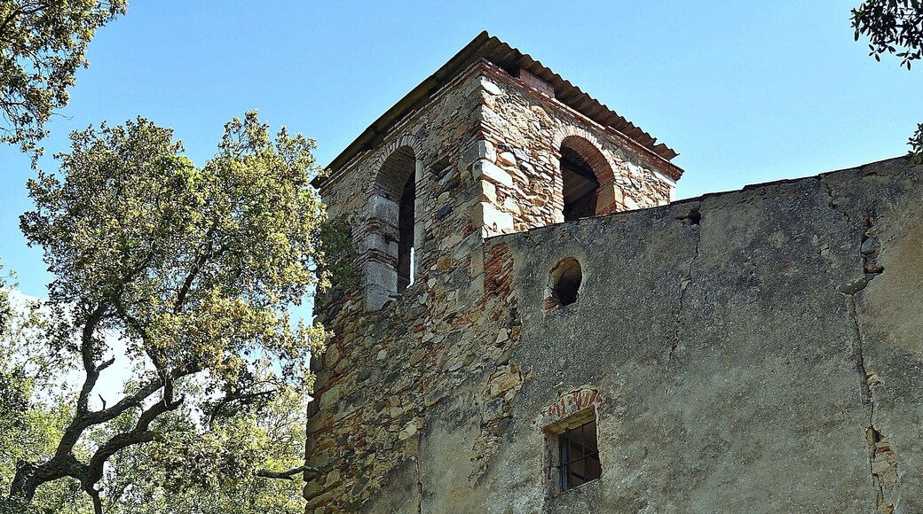 Valles Oriental-2017