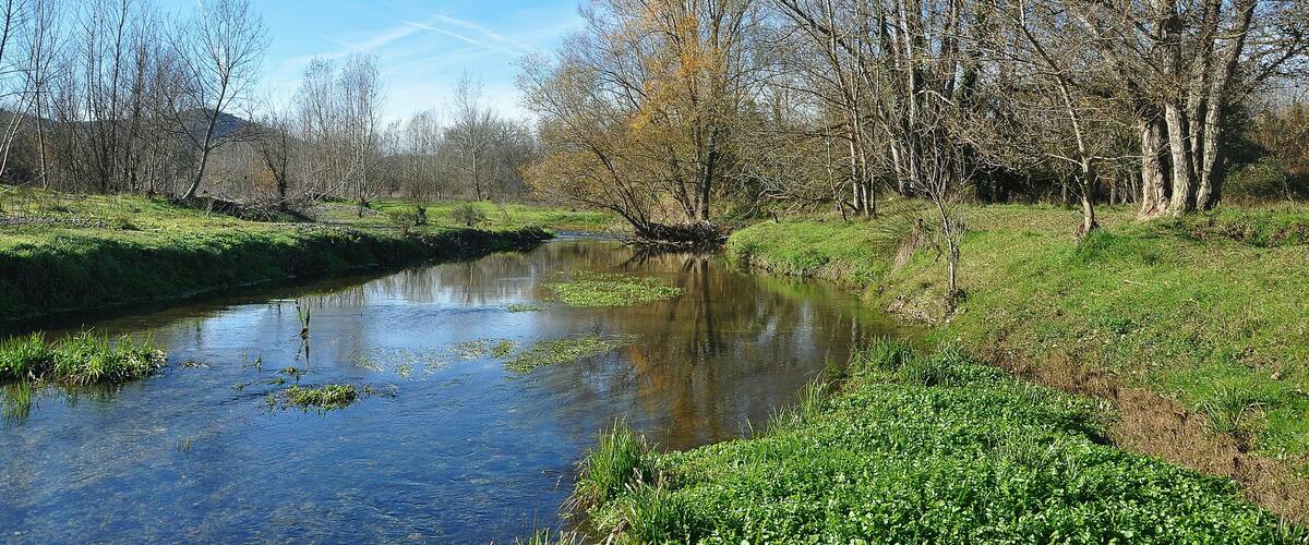 A calm river with clear water, surrounded by trees and grassy banks.
