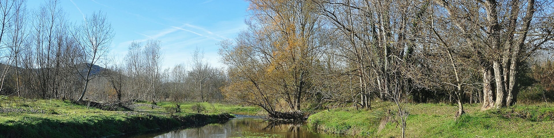 A calm river with clear water, surrounded by trees and grassy banks.