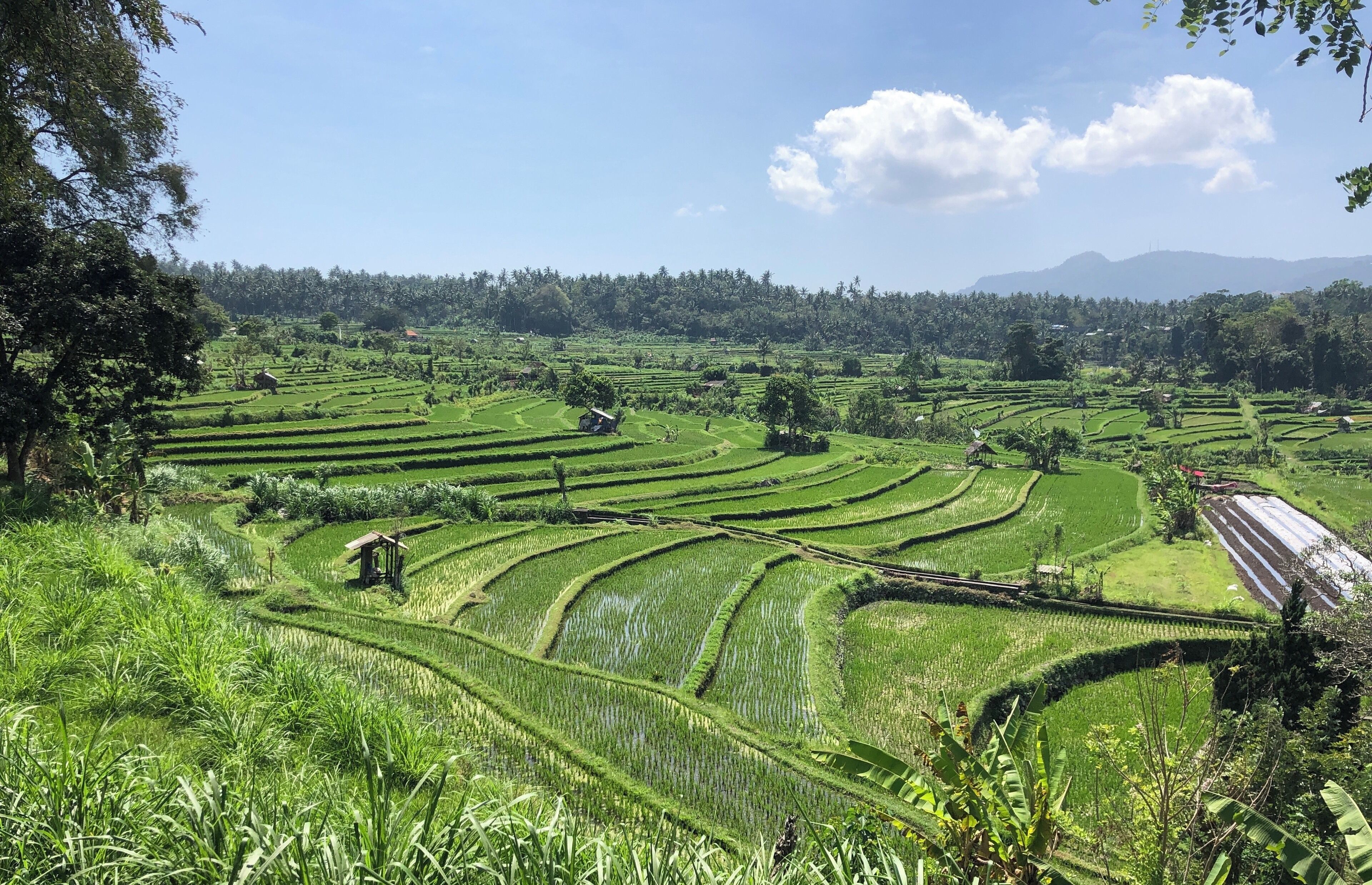 Beautiful rice terraces without the shops and tourists