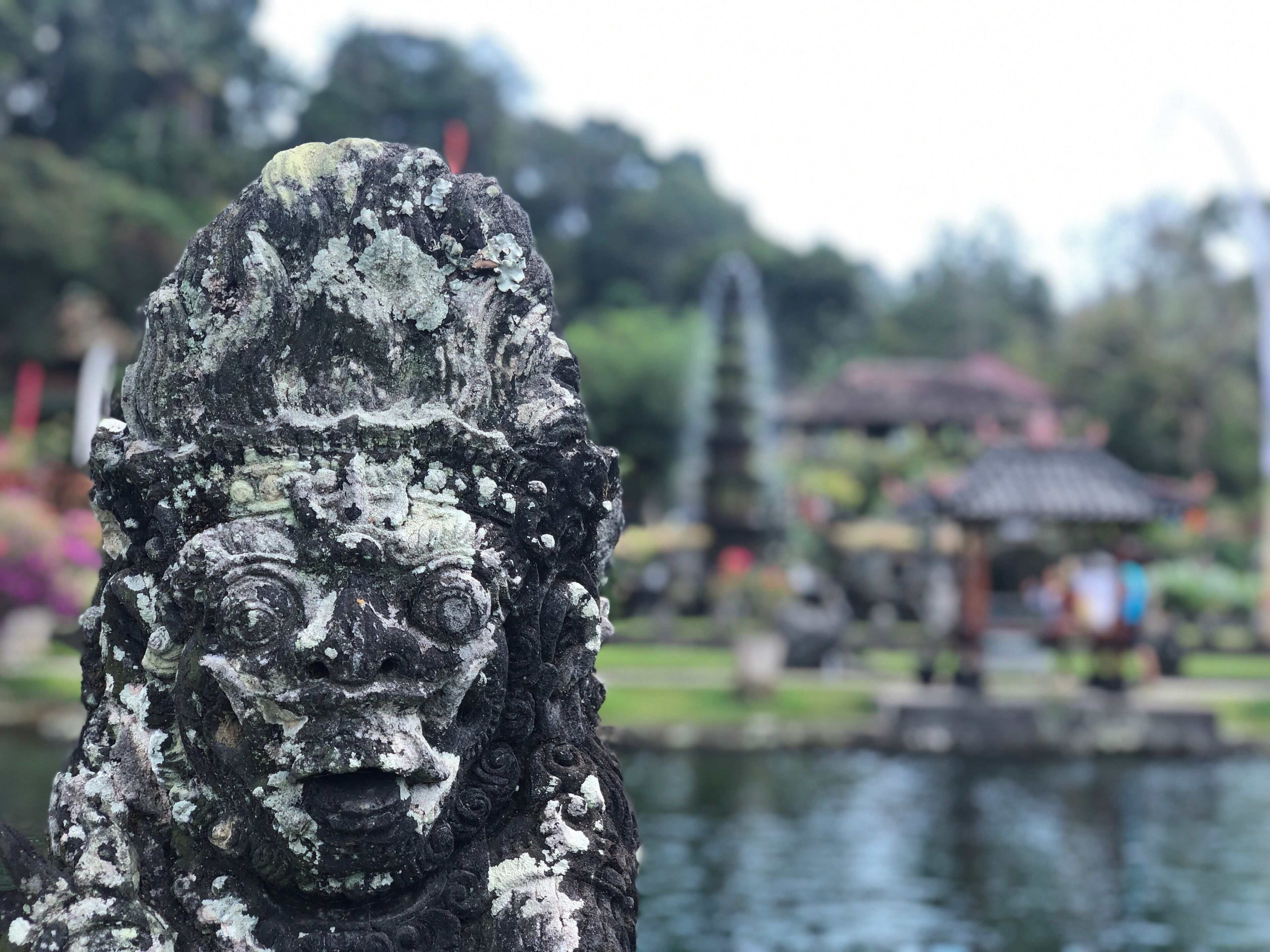 The place is not very big and there’s a swimming pool here