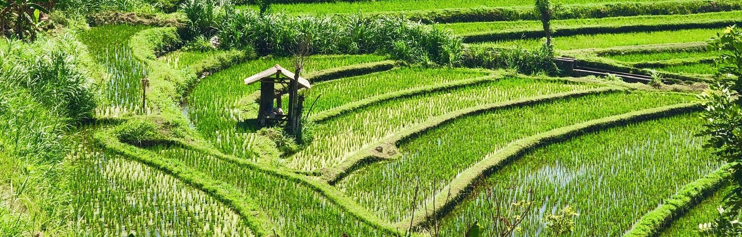 This is near Lempuyang Temple