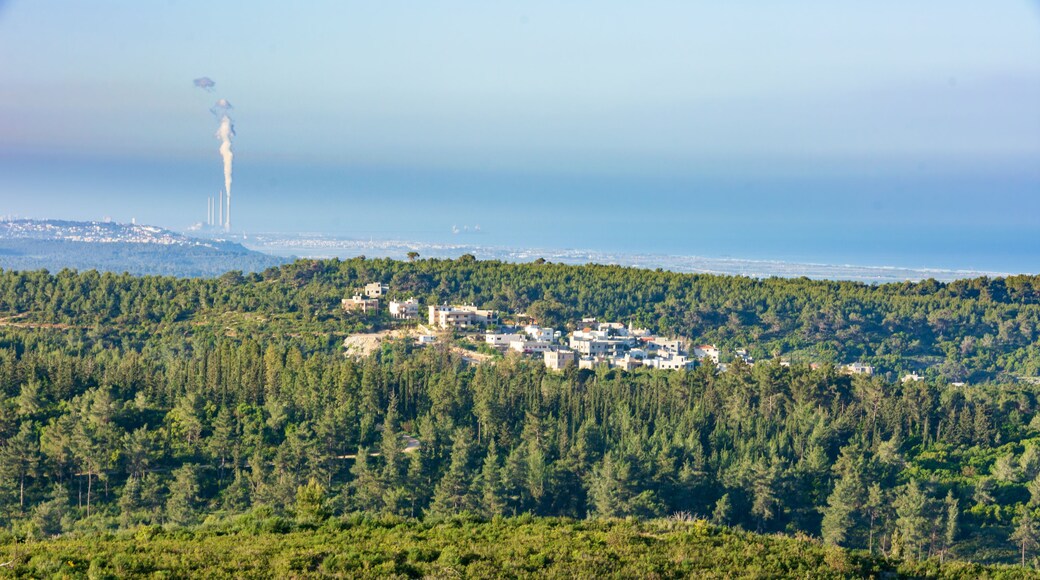 Carmel Moutains, forest, and Galilee in northern Israel