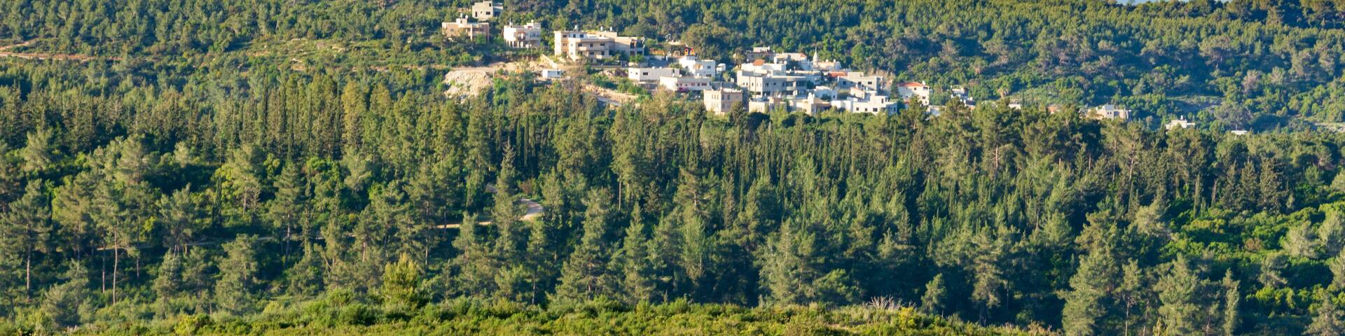 A coastal town with buildings nestled among dense pine forests, a lighthouse in the distance, and a clear view of the sea.