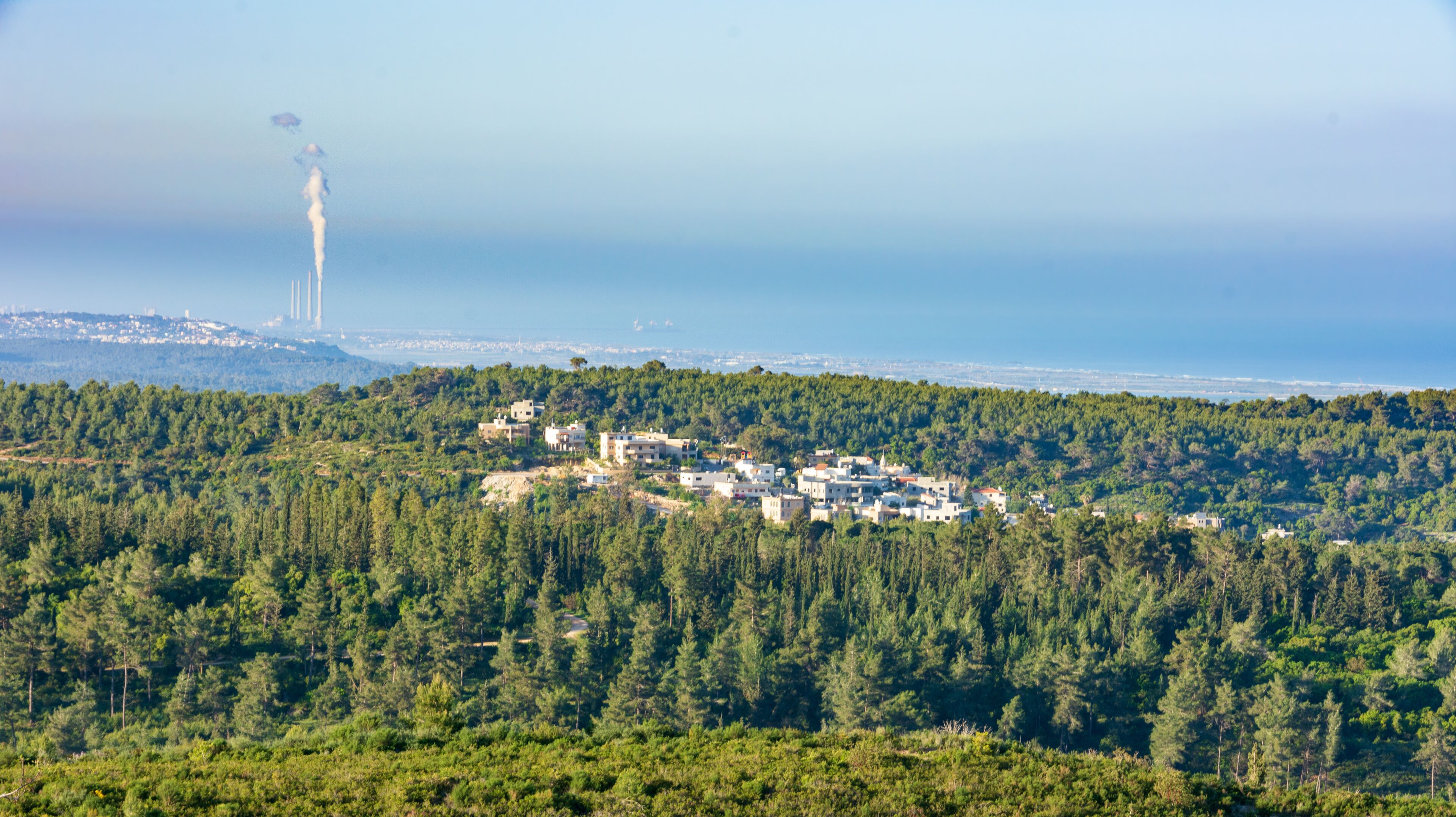 A coastal town with buildings nestled among dense pine forests, a lighthouse in the distance, and a clear view of the sea.