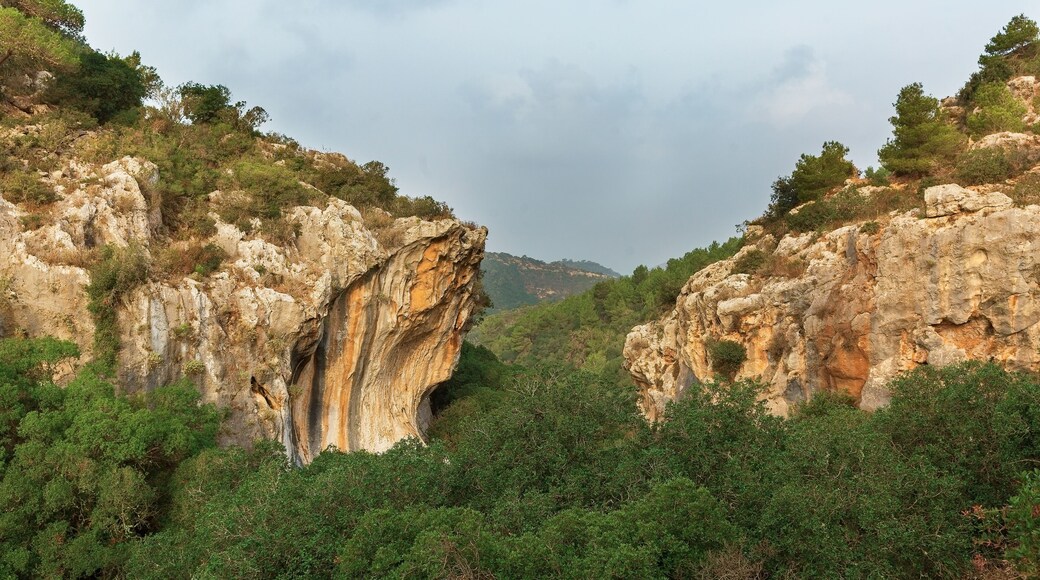 Panoramic view from Mount Carmel