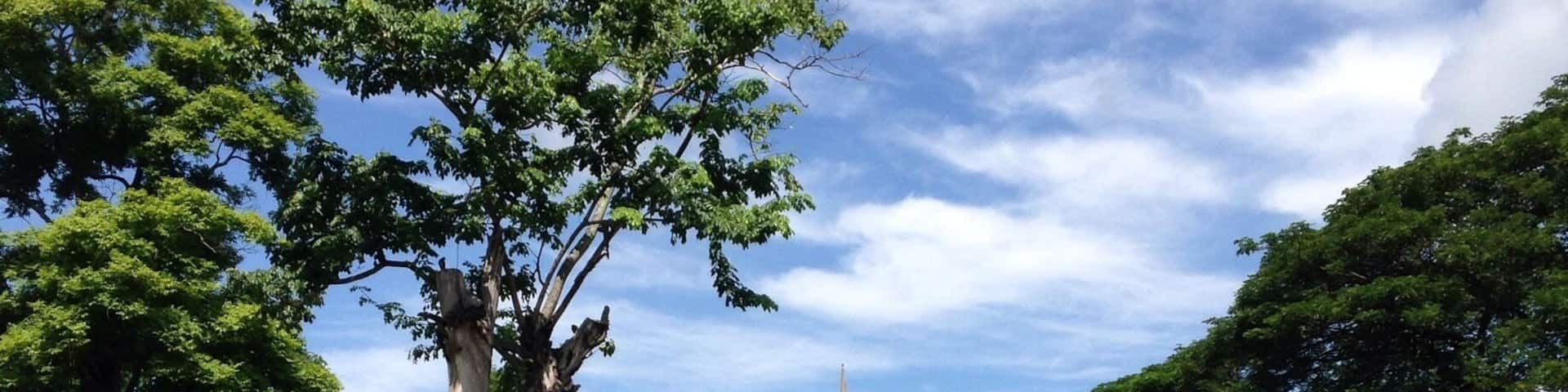 Magic place, the best place seen in Thailand