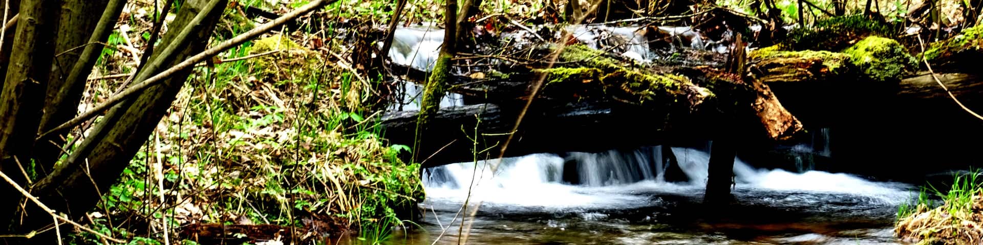Kleiner Bachlauf des "Bächlesbach" in den Spessartwiesen bei Heigenbrücken