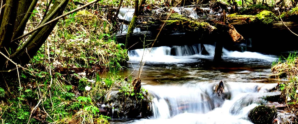 A fast-flowing stream with a rocky bed, surrounded by lush greenery and moss-covered rocks.