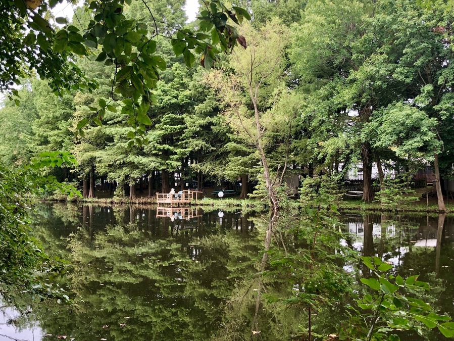 One of the many ponds here at this lovely campground.