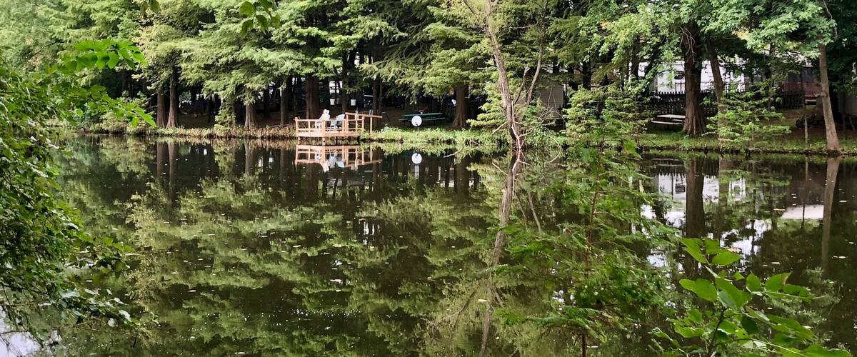A serene pond surrounded by lush greenery and a wooden structure.