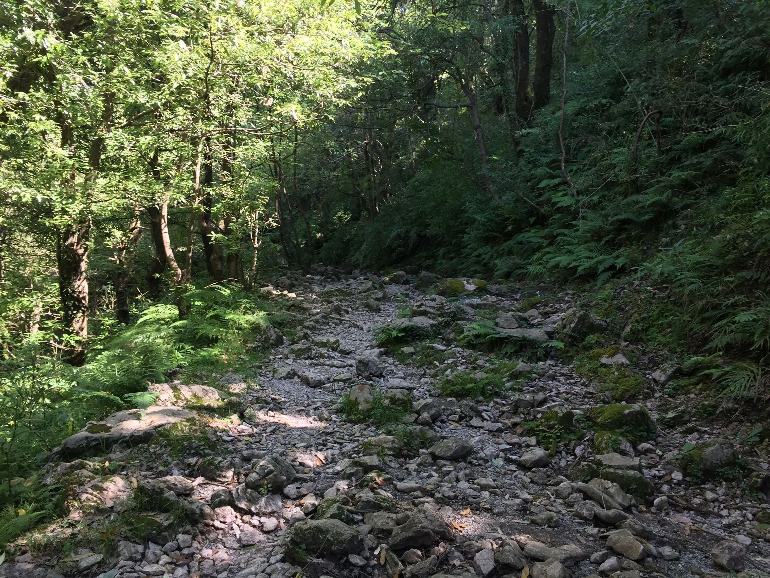 An peaceful walk away from the crowds