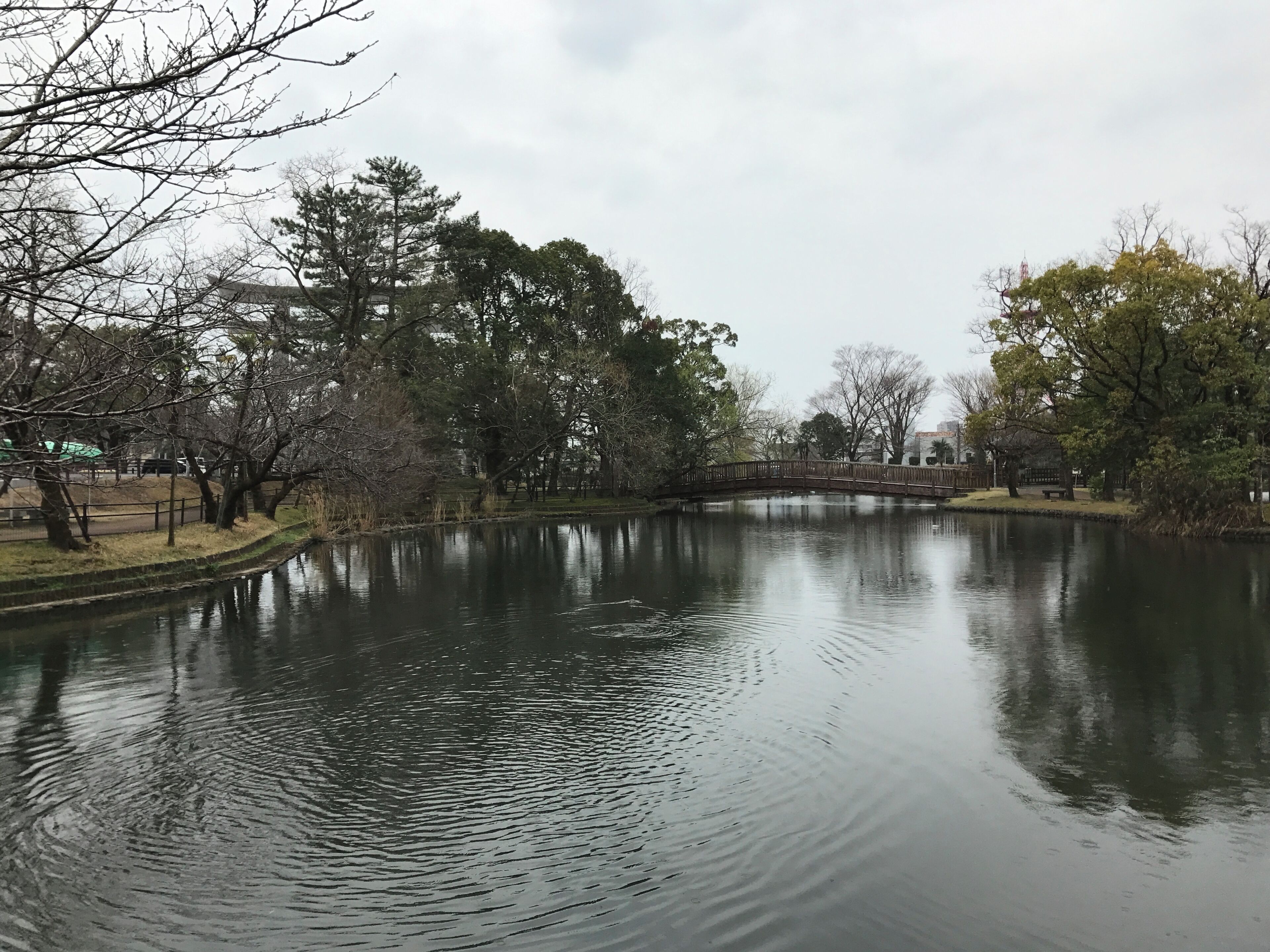 神柱公園の池