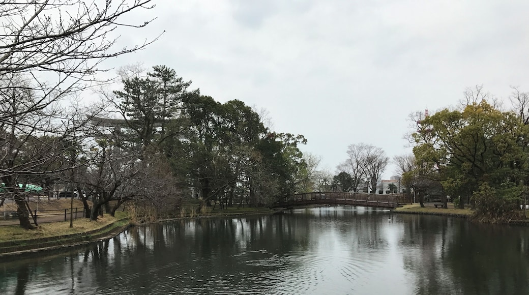 ็ฅๆฑๅ
ฌๅใฎๆฑ