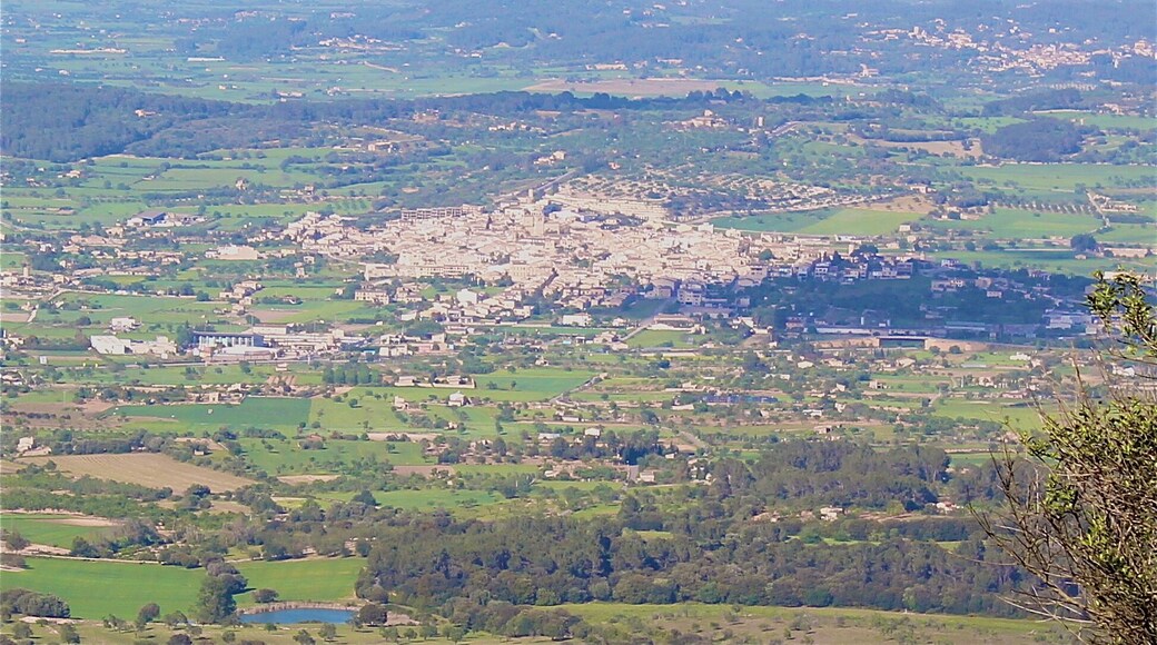 Vista de Montuïri del Puig de Randa