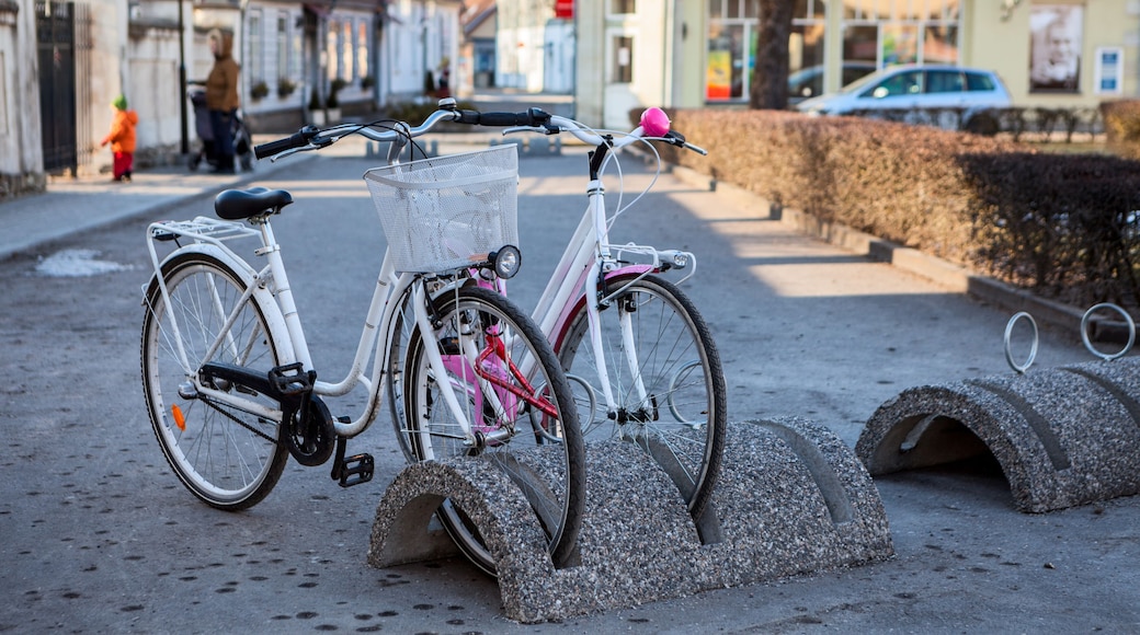 Bicycle parking station with bikes is in the Kuressaare town at winter season, Estonia