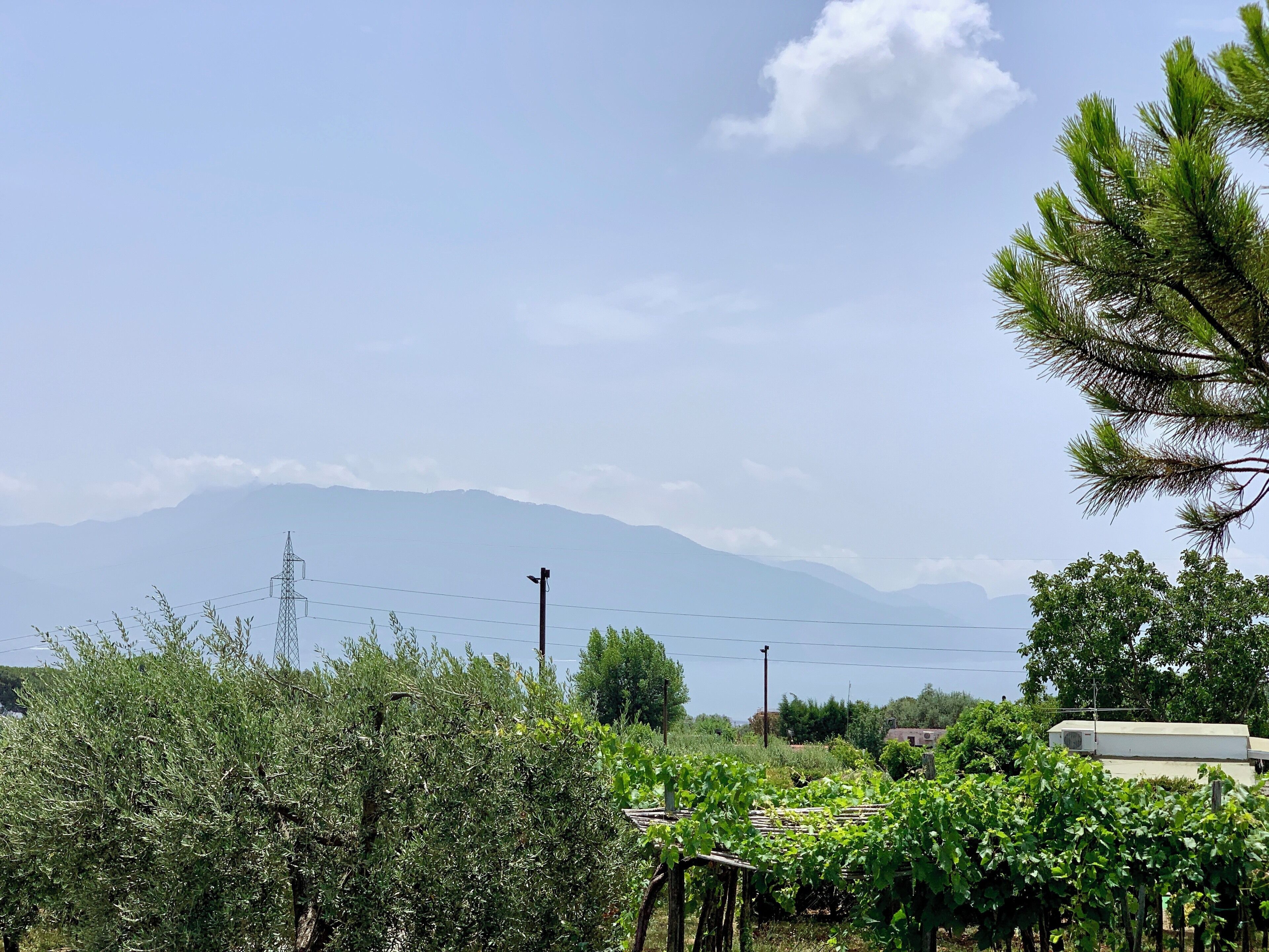 Great time walking around drinking wine and eating at Villa Tirone today...